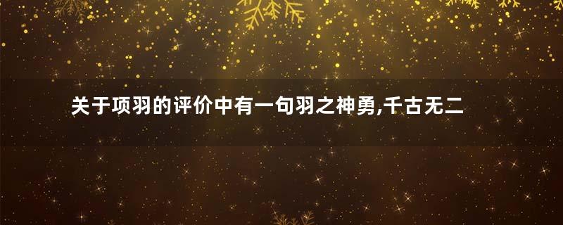 关于项羽的评价中有一句羽之神勇,千古无二 项羽为何能得到这样的评价